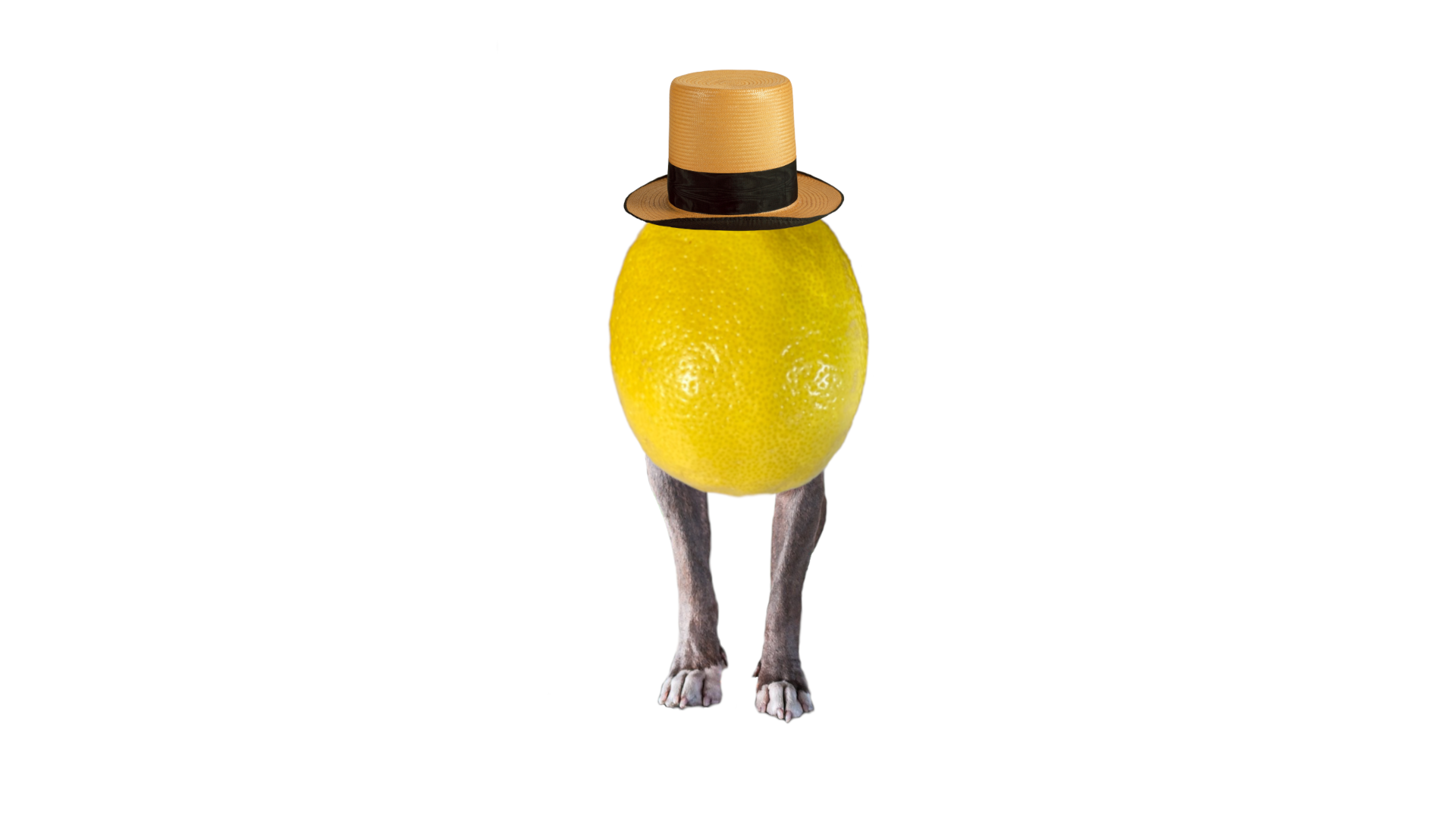A lemon with a hat and dog legs.