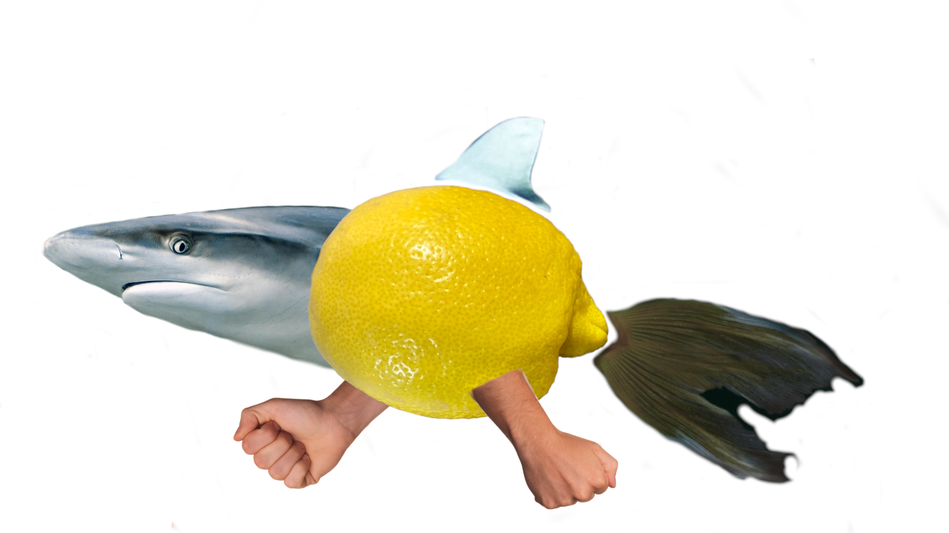 Conceptual collage of a lemon combined with a shark head, torn fish tail, and human arms with fists.