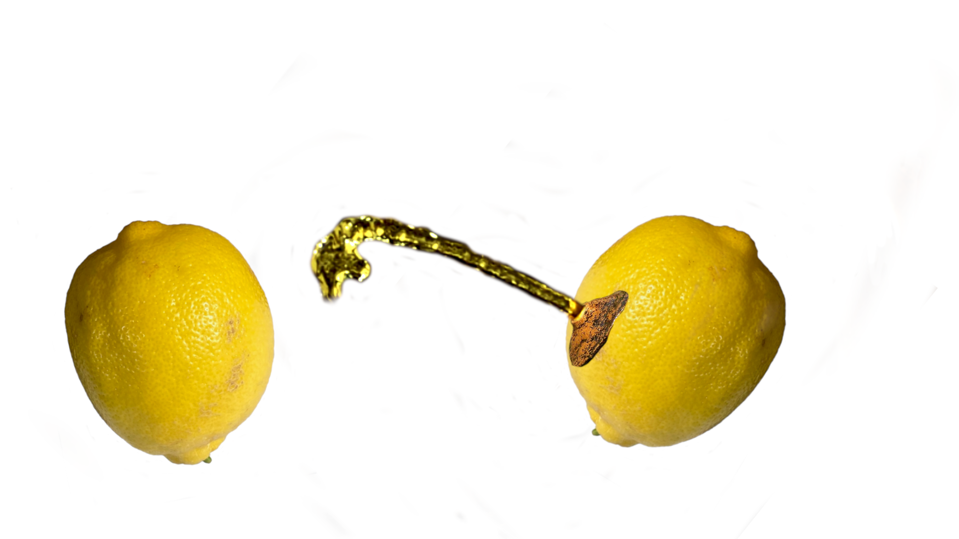 Two lemons. The right lemon sprays a golden liquid stream at the other.