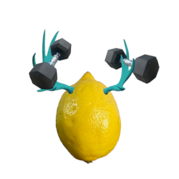 Lemondala Aqua Horns lifts weights.
