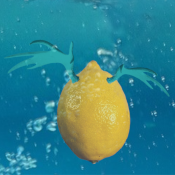 Aqua Horns trying to swim in the ocean.