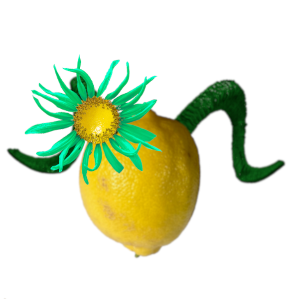 Green Horns shakes light green lemon sunflower.