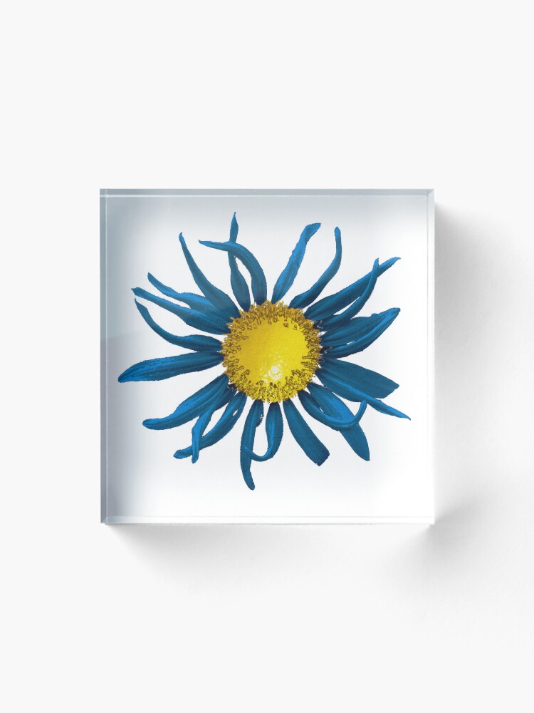 Blue Lemon Sunflower acrylic block available on Redbubble