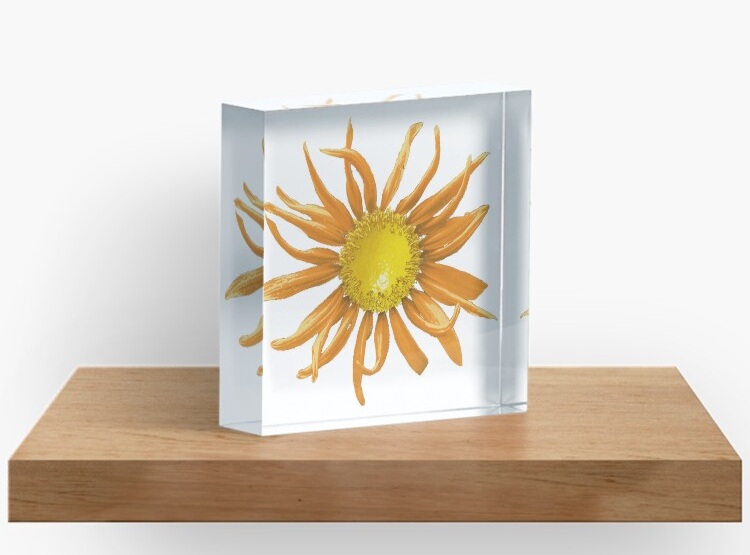Lemon sunflower in peachy color acrylic block available on Redbubble
