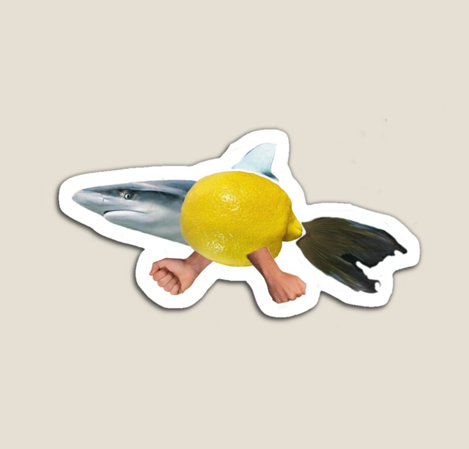 Lemon Shark magnet available on Redbubble