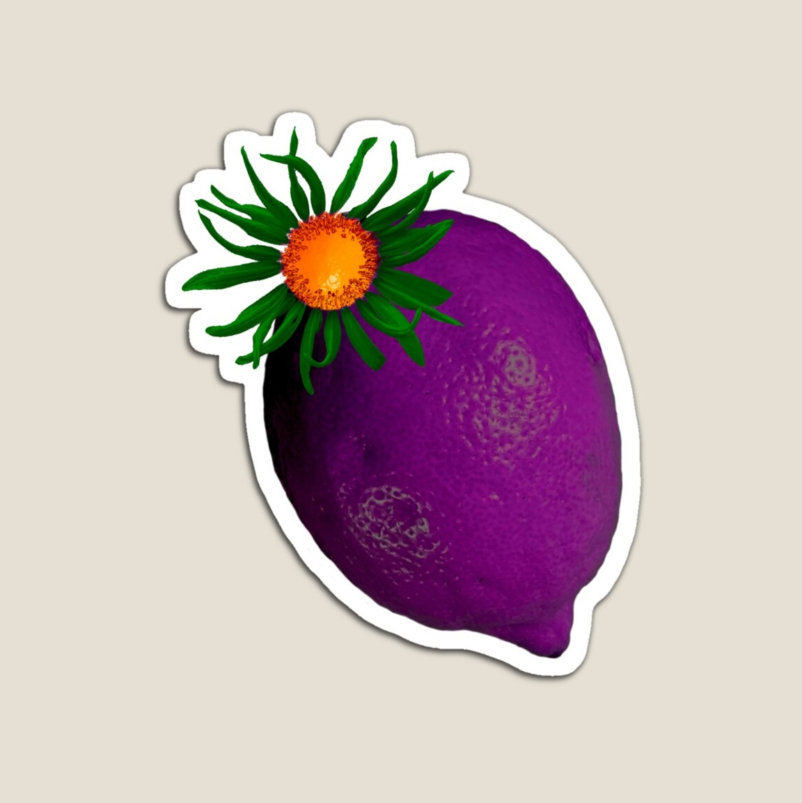 Purple Lemon with green petals lemon sunflower with orange center magnet available on Redbubble